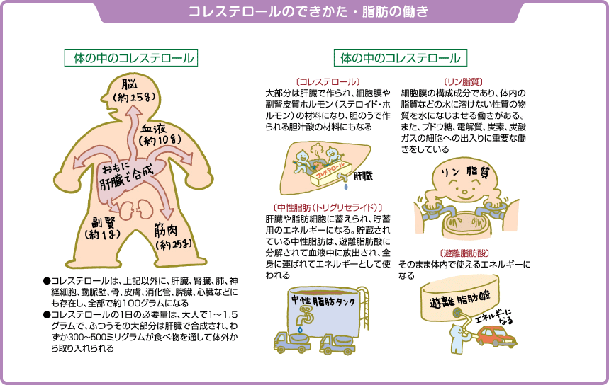 野ぶどう効果について｜ヘルシーケア開発公式通販サイト - 株式会社