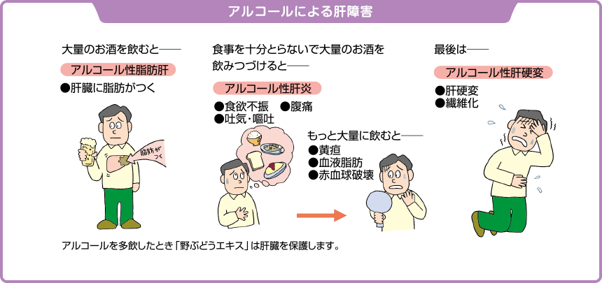 野ぶどう効果について｜ヘルシーケア開発公式通販サイト - 株式会社